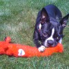 Lola