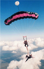 Misty Blues Skydiving Team