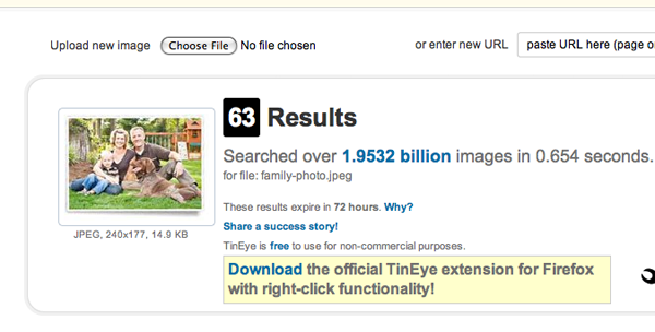 TinEye Results