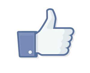 Facebook like button